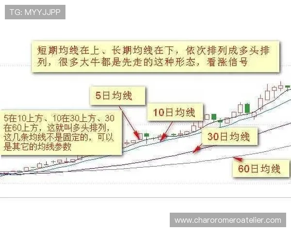 如何利用百家乐路图进行趋势判断：实战技巧与常见误区解析