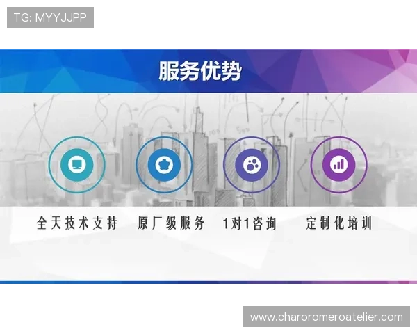 K8真人在线平台的技术支持与客户服务体系详尽介绍
