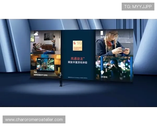 博乐真人官网网站多平台支持与移动端游戏体验优化方案